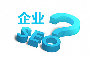 網(wǎng)站建設(shè)與軟件服務(wù) 數(shù)字化時(shí)代的兩大驅(qū)動(dòng)力