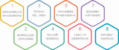 雙收網(wǎng)絡(luò)與豬八戒網(wǎng) 探索企業(yè)快速建站與精美設(shè)計(jì)的雙贏之道